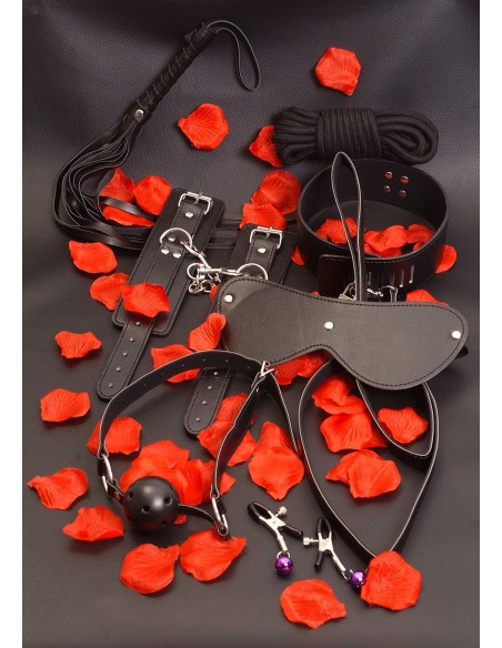 Prefesjonalny zestaw BDSM STARTER KIT - Zestawy BDSM - 2