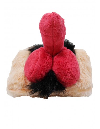 Śmieszny pluszak Poduszka penis- mini - Urodziny, 18-stka - 2