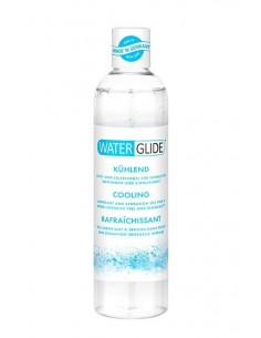 Stymulujący żel intymny Waterglide Cooling 300 ml - Lubrykanty stymulujące - 1