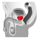 Stymulator i masażer prostaty Joystick Prostata Booster Czarny - 3