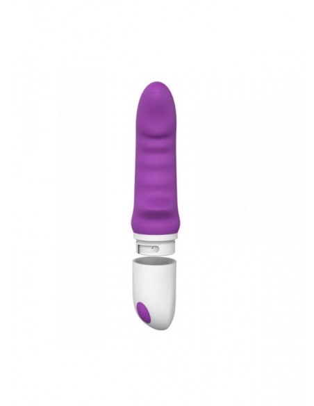 Ekskluzywny wibrator Design Elys - Rhinhorn Vibe Purple - WIBRATORY EKSKLUZYWNE - 1