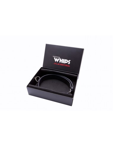 WHIPS Obroża Męska Wąska - Chokery, obroże i smycze - 1