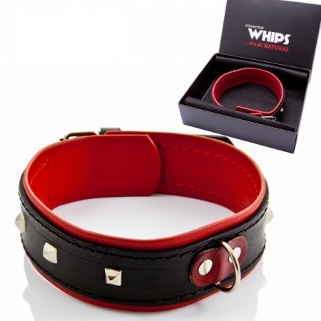 WHIPS Obroża Damska Z Ćwiekami - 4