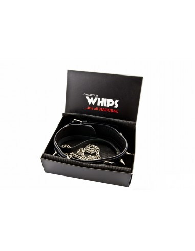 WHIPS Obroża Męska Z Półkółkami I Smyczą - Chokery, obroże i smycze - 1