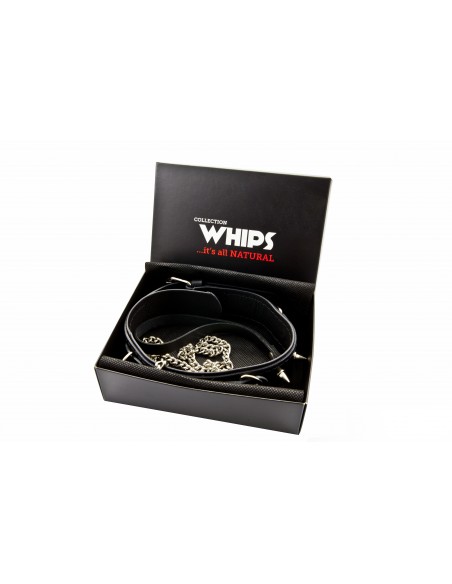 WHIPS Obroża Męska Z Półkółkami I Smyczą - Chokery, obroże i smycze - 1