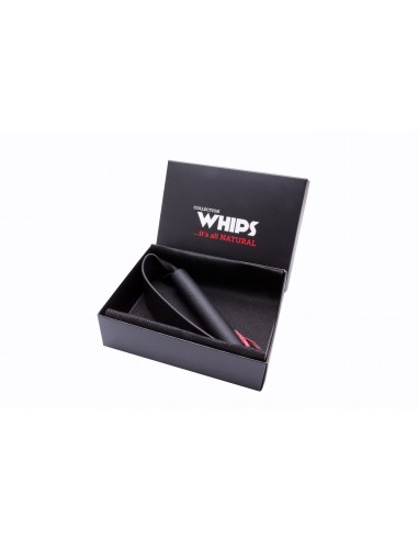 Pejcz-WHIPS packa soft, czarna - Baty, pejcze i packi - 1