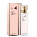 Feromony Dla Kobiet Smell Like 04 - 30Ml - 4