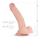 Dildo Derek Realistic Dildo - 5