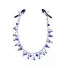 Klamry na sutki Exclusive Nipple Clamps No.2 - 1