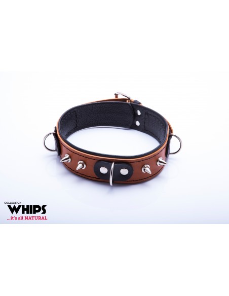 WHIPS Obroża Niewolnika Ze Smyczą, Koniakowa - Chokery, obroże i smycze - 2