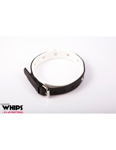 Obroża Damska, Średnia, Biała - Chokery, obroże i smycze - 1 2