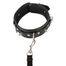 Obroża Ze Smyczą Collar Vegan - 6