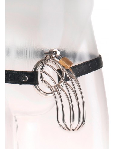 Klatka Na Penisa Ffe The Prisoner - Klatki na penisa - 3