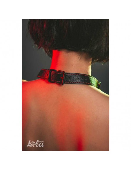 Knebel Bone Gag Party Hard Infatuation - Kneble do ust - 4