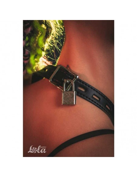 Knebel Ball Gag With Nipple Clamps Party Hard Hentai - Kneble do ust - 6