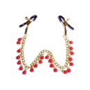 Klamry na sutki Exclusive Nipple Clamps No.15 - 3