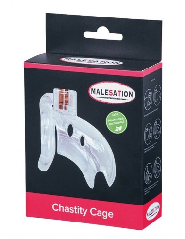 Klatka Na Penisa Malesation Chastity Cage Clear - Klatki na penisa - 8