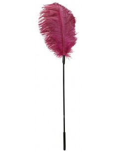 Pink feather - Baty, pejcze i packi - 1