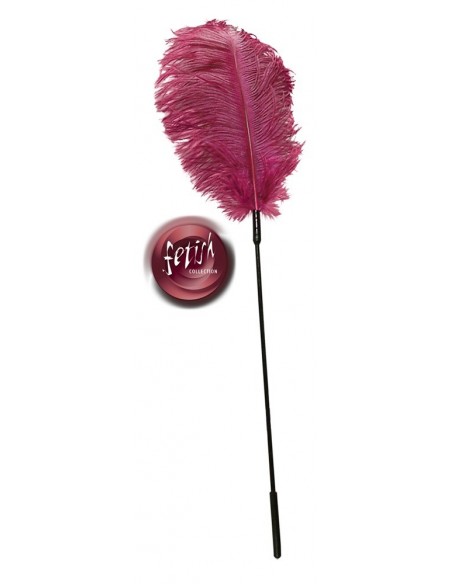 Pink feather - Baty, pejcze i packi - 3