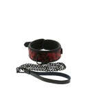 Obroża ze smyczą BLAZE DELUXE Collar & Leash - neoprenowa, regulowana klamrą pasową, z wymiennym łańcuchem - 1