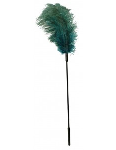 Turquoise feather - Baty, pejcze i packi - 1