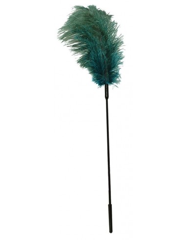 Turquoise feather - Baty, pejcze i packi - 1