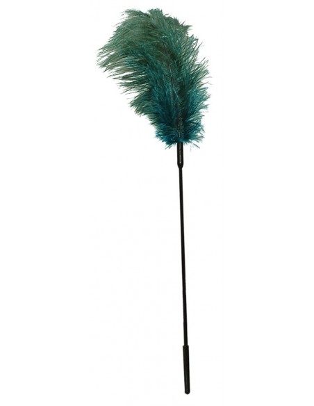 Turquoise feather - Baty, pejcze i packi - 1