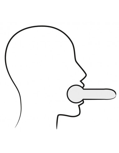 Knebel BDSM Leather Head Mask And Gag - Kneble do ust - 3