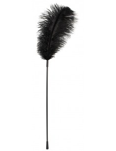 Black feather Bad Kitty - Baty, pejcze i packi - 1