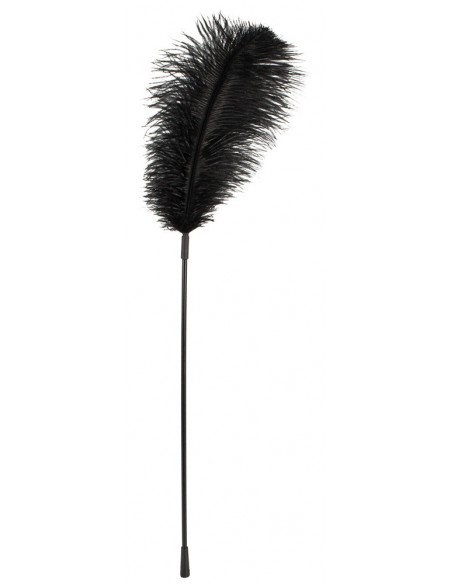 Black feather Bad Kitty - Baty, pejcze i packi - 1
