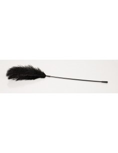 Black feather Bad Kitty - Baty, pejcze i packi - 1 2
