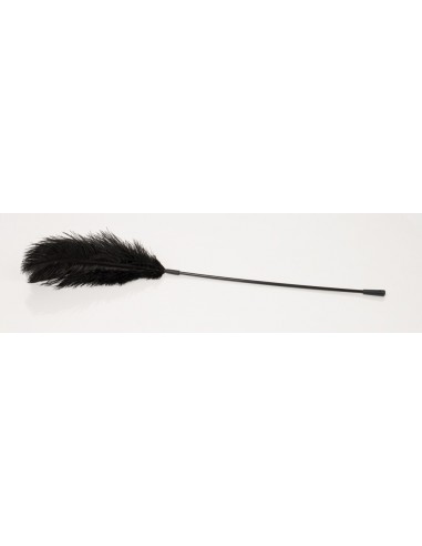 Black feather Bad Kitty - Baty, pejcze i packi - 2
