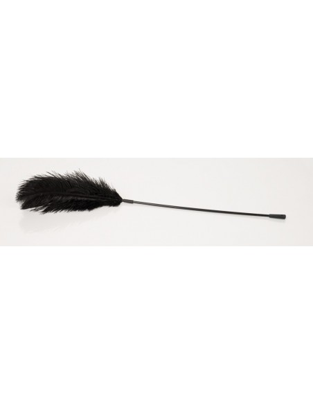 Black feather Bad Kitty - Baty, pejcze i packi - 2