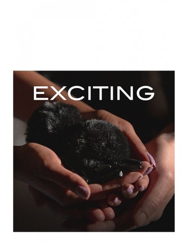 Klipsy na sutki Noir Pom Adjustable Nipple Clamps Black - Klamry i klipsy na sutki - 4