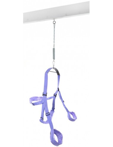 Huśtawka do seksu Ffs Fantasy Swing Purple - Huśtawki do seksu i BDSM - 3