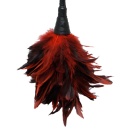 FFS Frisky Feather Duster - 2