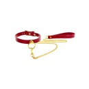 O-Ring Collar and Chain Leash - 1