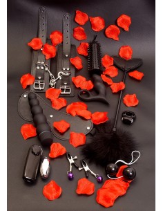 Zestaw akcesoriów erotycznych AMAZING PLEASURE SEX TOY KIT - Śmieszne gadżety, prezenty - 1 2