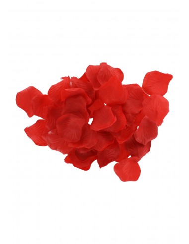 Zestaw gadżetów erotycznych RED ROMANCE GIFT SET - Śmieszne gadżety, prezenty - 7