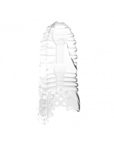 Masturbator Me You Us Glacier Dual End Stroker Transparent  - Masturbatory i Sztuczne pochwy - 5