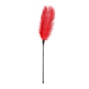 Piórko do łaskotania Red Feather Tickler - 2