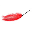 Piórko do łaskotania Red Feather Tickler - 3