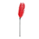 Piórko do łaskotania Red Feather Tickler - 4