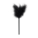 Secret Pleasure Chest - Black - 3