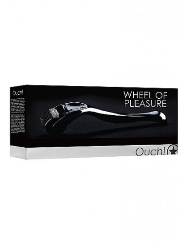 Stymulator BDSM Wheel of Pleasure - Zabawki Medyczne - 2