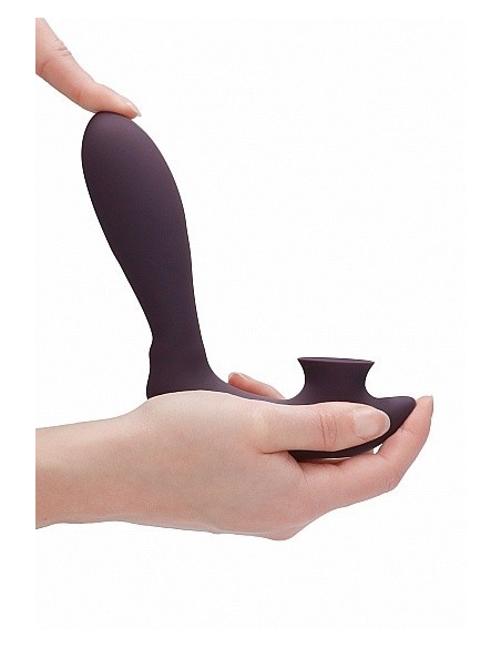 Stymulator Punktu G Desirable - Purple - Wibratory Króliczki - 12