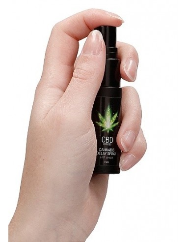 Spray na opóźnienie wytrysku CBD Cannabis 15 ml - Lubrykanty, feromony i olejki do masażu CBD - 7