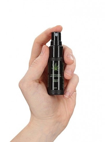 Spray na opóźnienie wytrysku Cannabis With Hemp Seed Oil 15 ml - Środki na opóźnienie wytrysku - 3