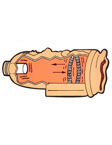 Masturbator Venus - Masturbatory i Sztuczne pochwy - 4