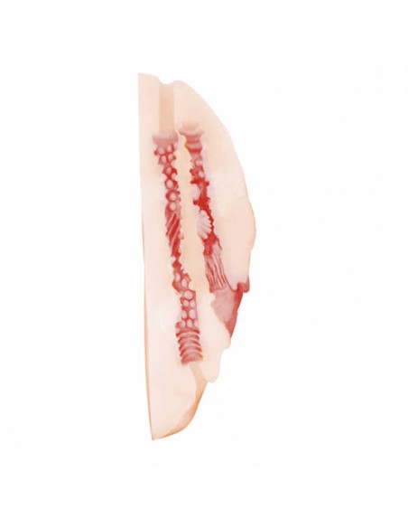 Masturbator z Wibracjami Satisfaction Divine - Masturbatory i Sztuczne pochwy - 4